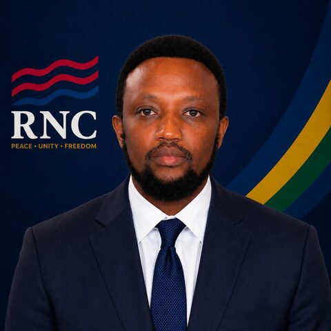 Committee member 3